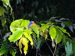 DSC00569