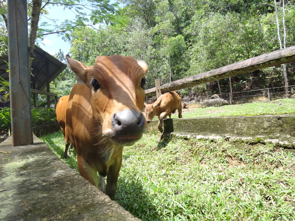 DSC01348