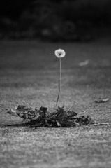 IMG_7180