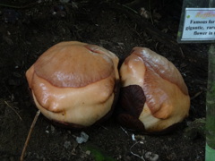 DSC01066