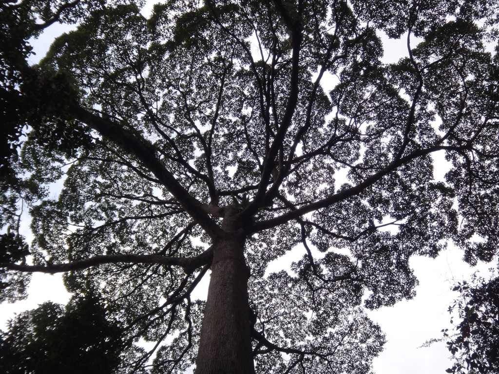 DSC01079