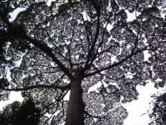DSC01079
