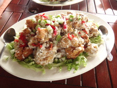 DSC00420