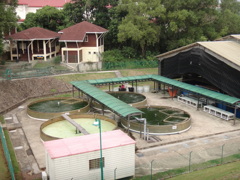 DSC01239