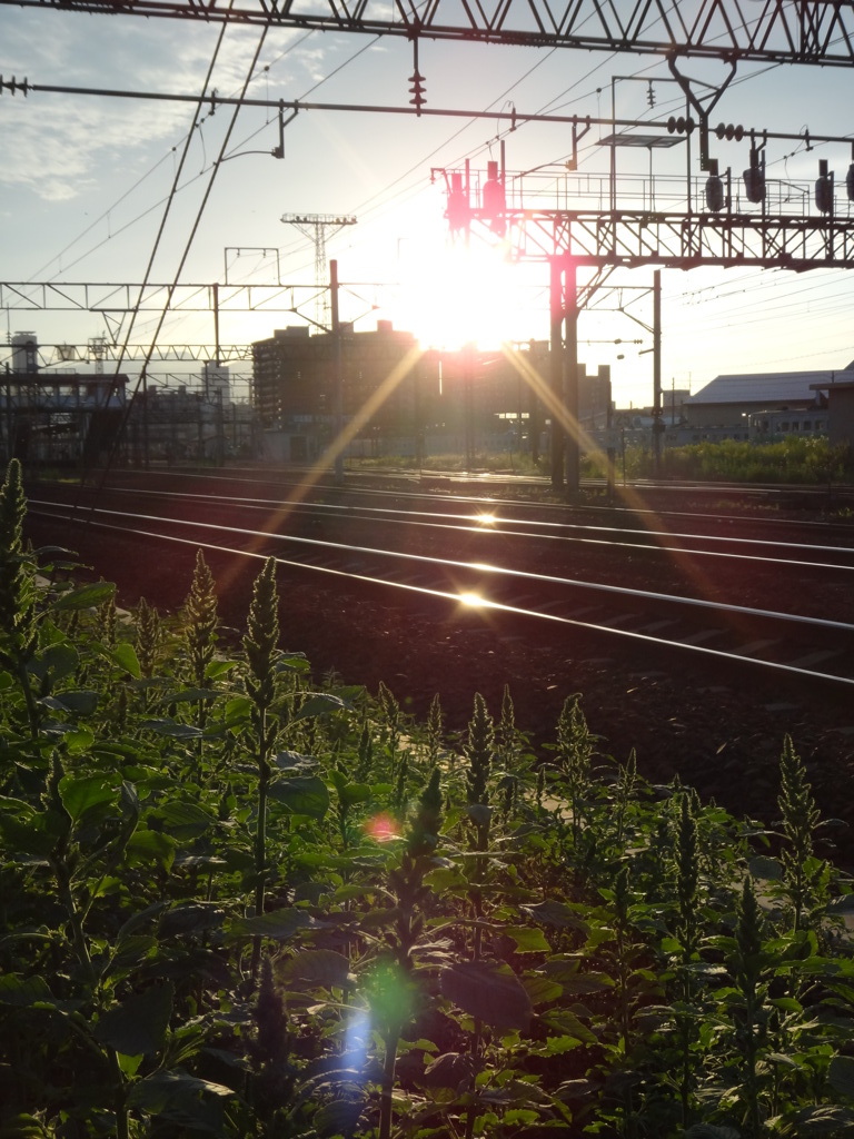 DSC00189