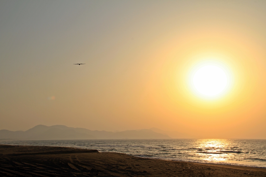 夕日の空へ