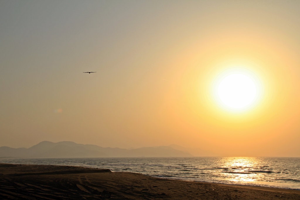 夕日の空へ