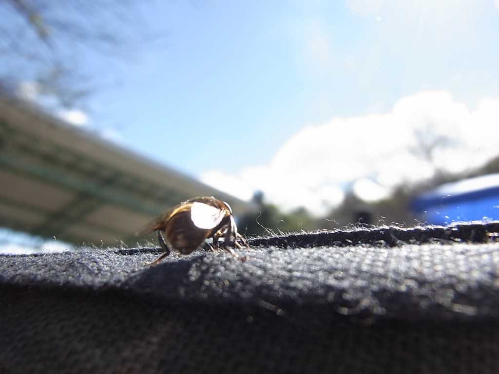 さぁいくぞ