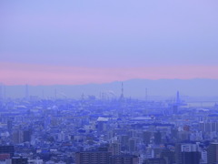 むこうのほう