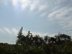 クールな雲