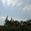 クールな雲