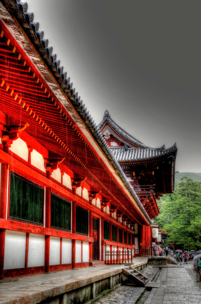 雨の東大寺