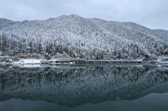 冬の高山本線