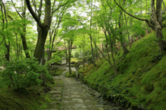 常寂光寺へ