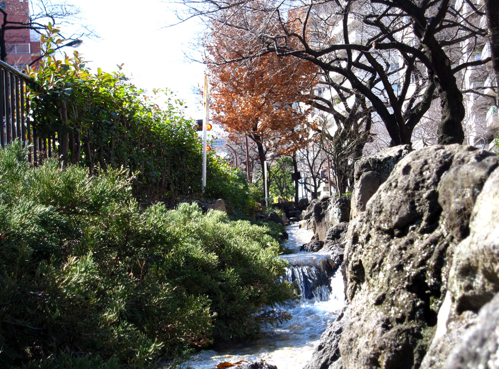 街の中の小川