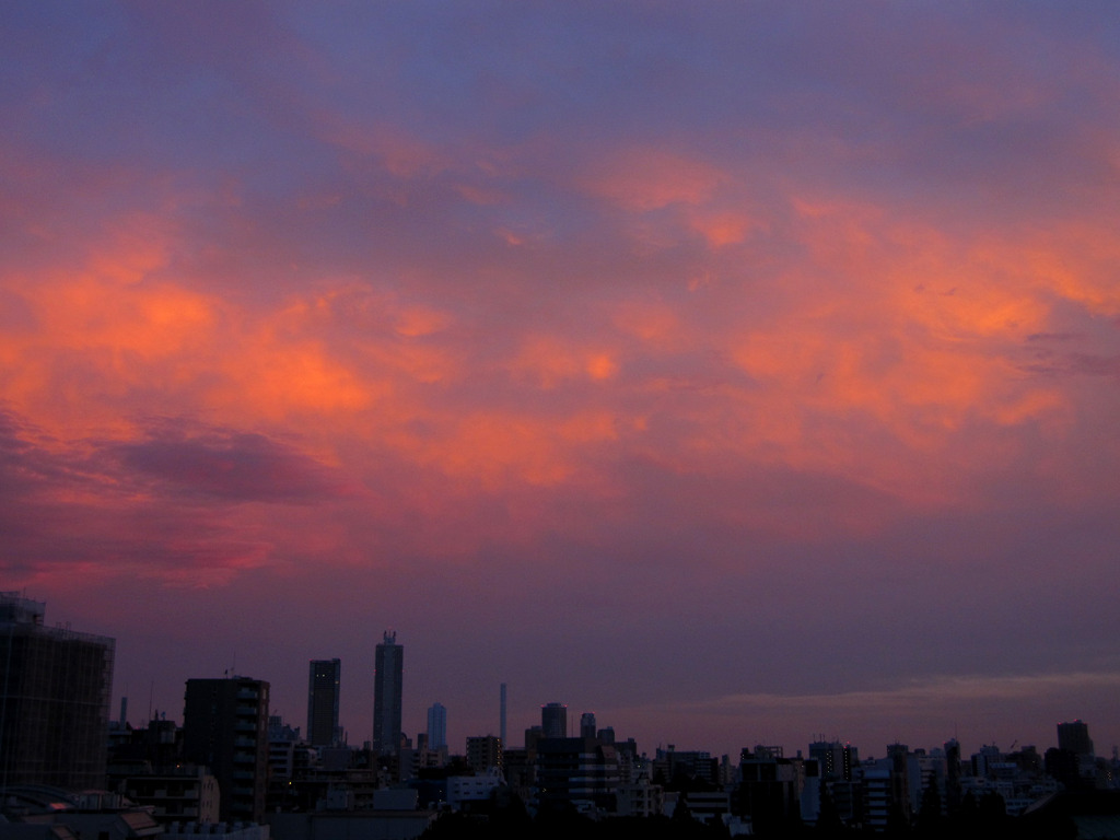 燃ゆる明け空