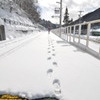 白馬大池２
