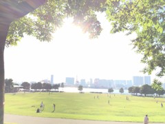 昼下がりの海浜公園