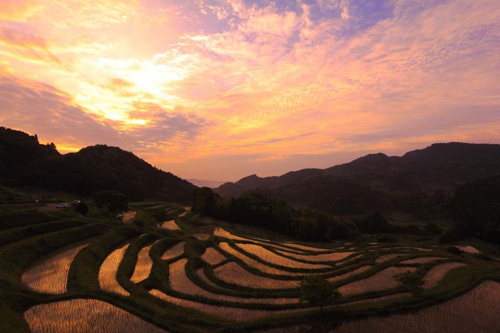 大山千枚田