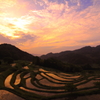 大山千枚田