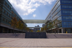 IMGP0375