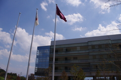 IMGP0374