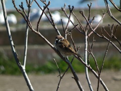 春、まだかな・・・？
