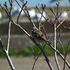 春、まだかな・・・？