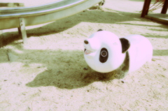 panda