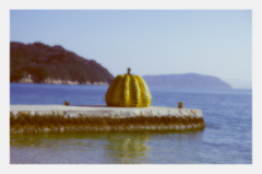 Yellow　PUMPKIN