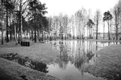 Auschwitz
