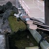中山法華経寺 その5