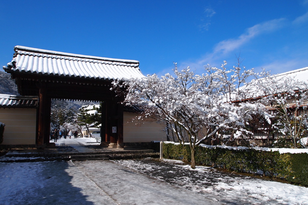 2011_0101_111443-P1010604