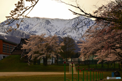 未来に夢を