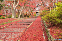 毘沙門堂の紅葉DSC_2785_00001