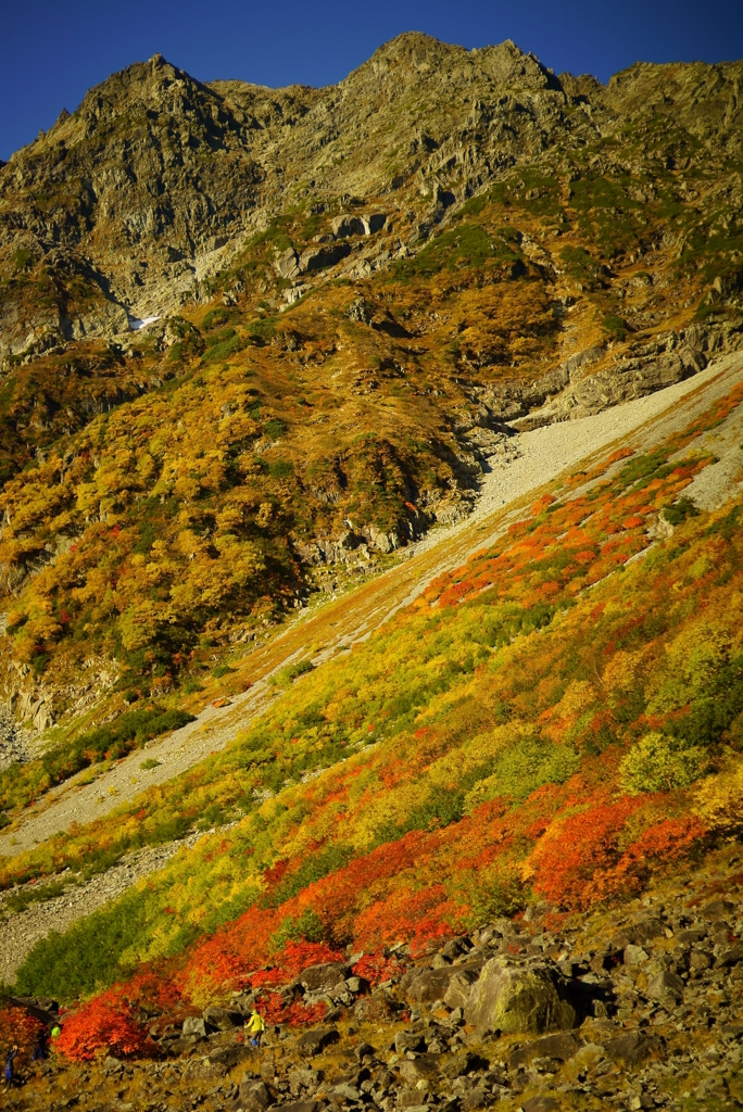 紅葉圏谷