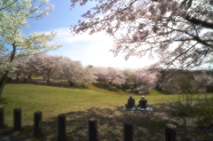 きれいですねえ