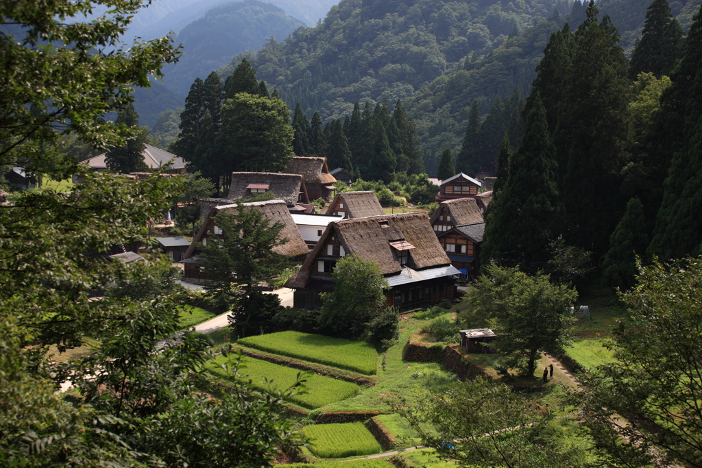 合掌村