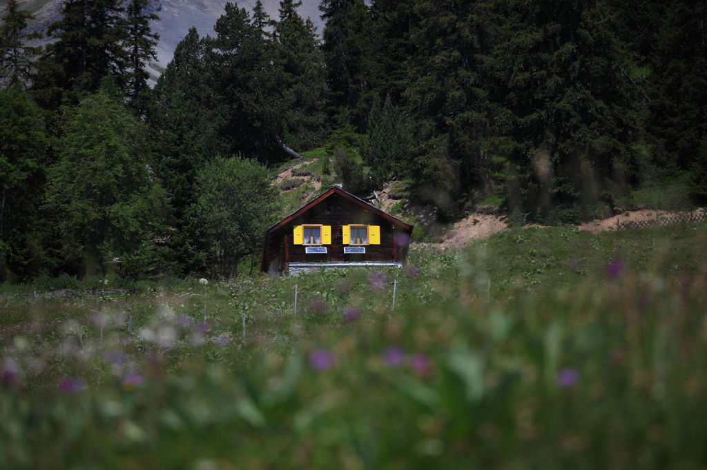 ハイジの山小屋