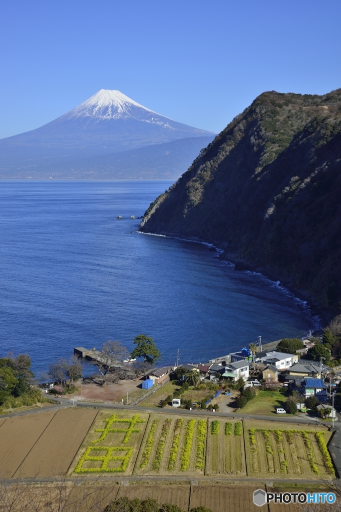 お馴染みの井田です