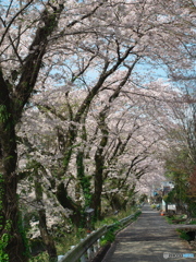 小路
