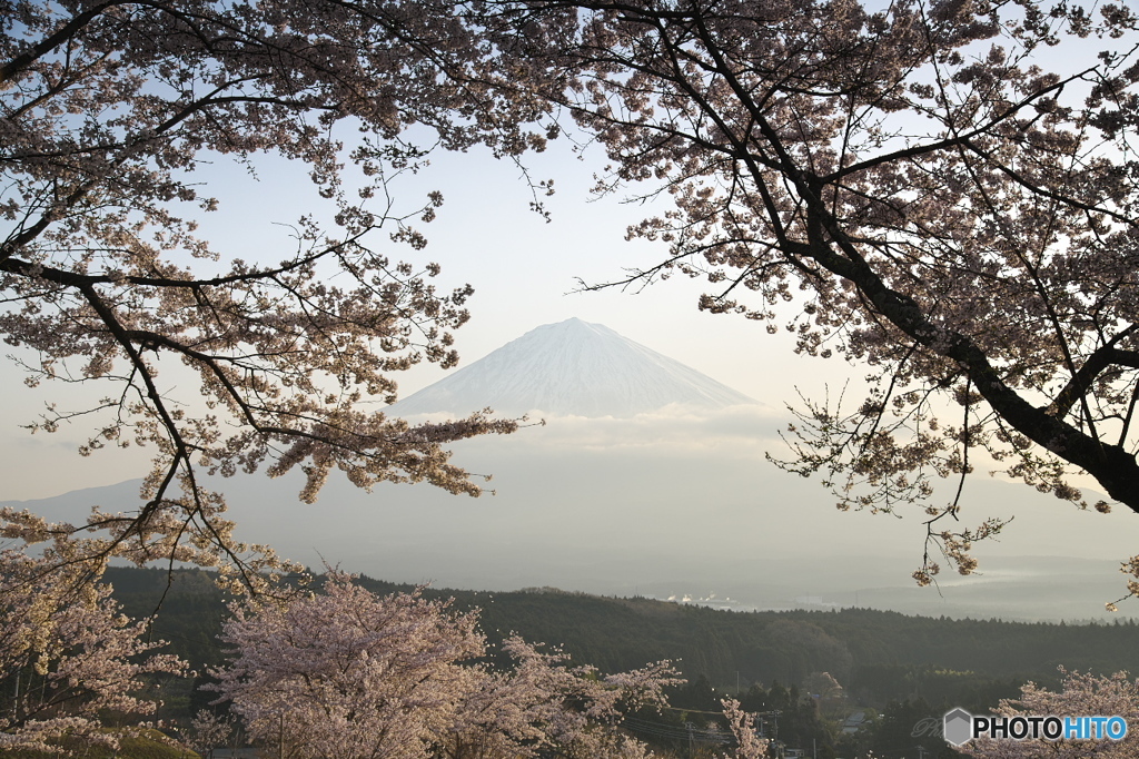 春の光景