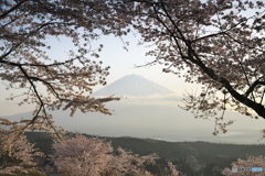 春の光景