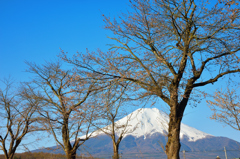 忍野村にて