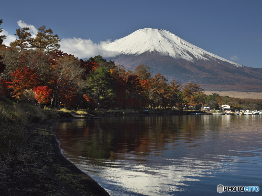紅葉 SILKYPIX.Ver