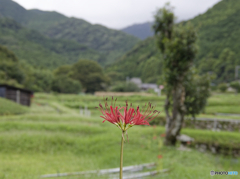 里山