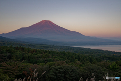 秋の朝富士