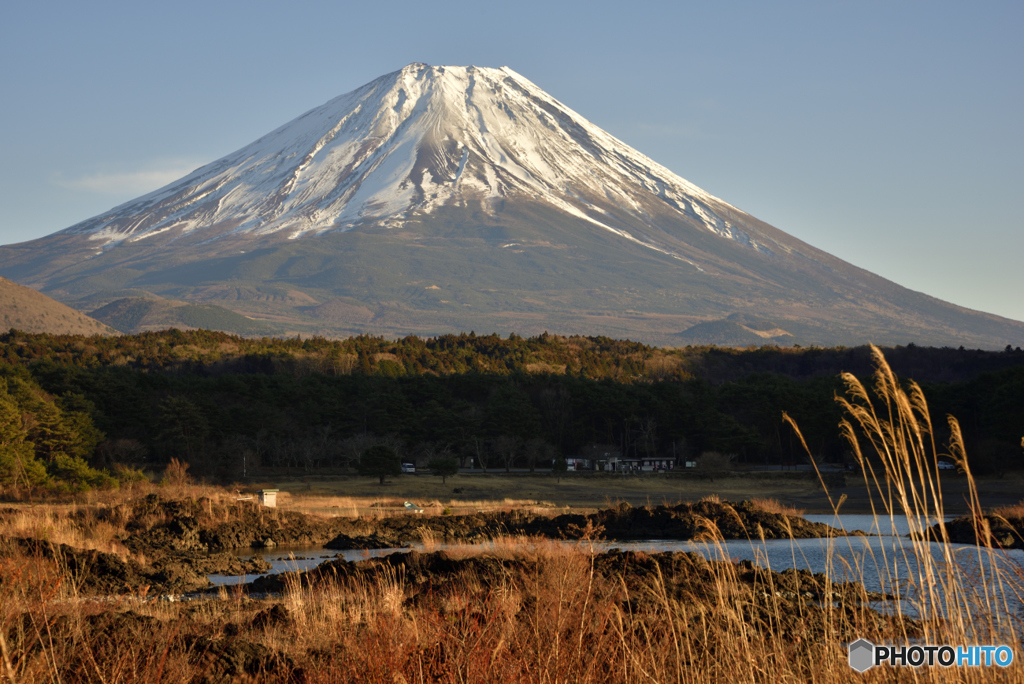 西日を浴びる富士