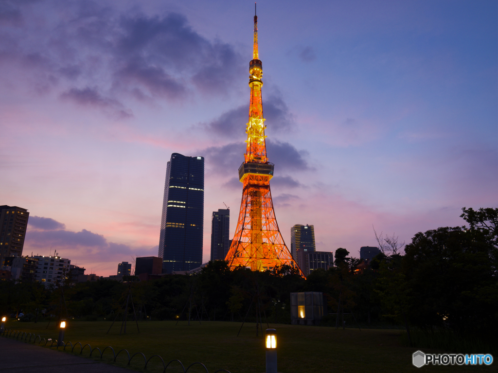 夕暮れタワー