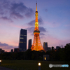 夕暮れタワー